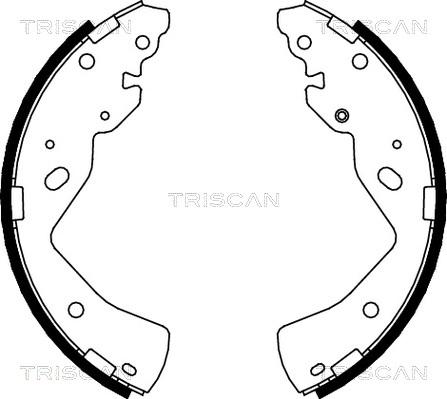 Triscan 8100 10018 - Əyləc Başlığı Dəsti furqanavto.az