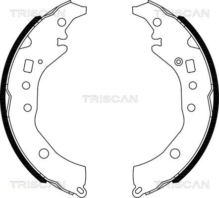 Triscan 8100 10039 - Əyləc Başlığı Dəsti furqanavto.az