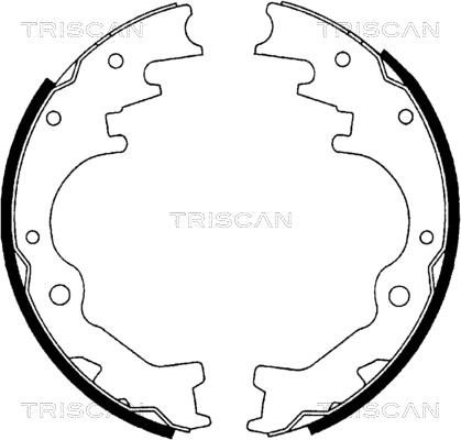 Triscan 8100 10035 - Əyləc Başlığı Dəsti furqanavto.az