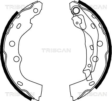 Triscan 8100 10025 - Əyləc Başlığı Dəsti furqanavto.az