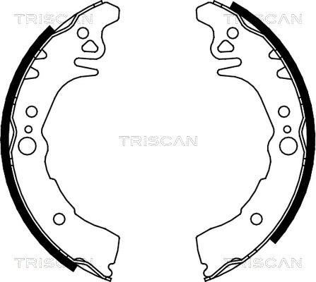 Triscan 8100 10026 - Əyləc Başlığı Dəsti furqanavto.az