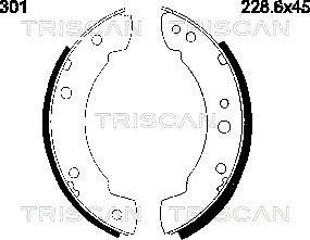 Triscan 8100 10301 - Əyləc Başlığı Dəsti furqanavto.az