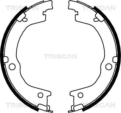 Triscan 8100 18006 - Əyləc Başlığı Dəsti furqanavto.az