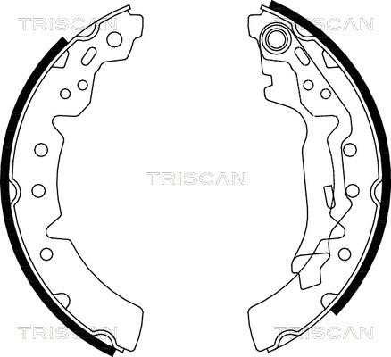 Triscan 8100 13031 - Əyləc Başlığı Dəsti furqanavto.az