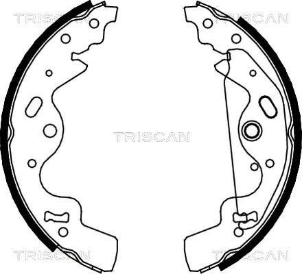 Triscan 8100 17010 - Əyləc Başlığı Dəsti furqanavto.az