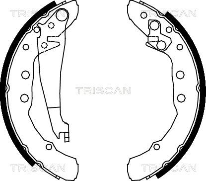 Triscan 8100 29530 - Əyləc Başlığı Dəsti furqanavto.az