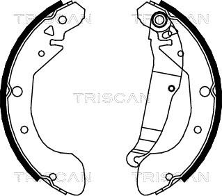 Triscan 8100 21612 - Əyləc Başlığı Dəsti furqanavto.az