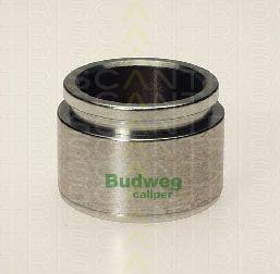 Triscan 8170 234025 - Piston, əyləc kaliperi furqanavto.az