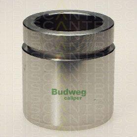 Triscan 8170 234834 - Piston, əyləc kaliperi furqanavto.az