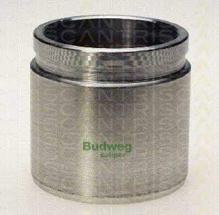 Triscan 8170 235720 - Piston, əyləc kaliperi furqanavto.az