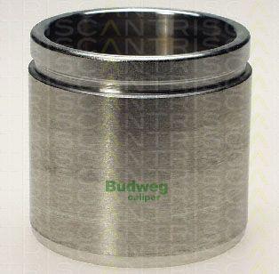 Triscan 8170 236031 - Piston, əyləc kaliperi furqanavto.az