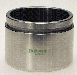 Triscan 8170 236801 - Piston, əyləc kaliperi furqanavto.az