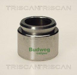 Triscan 8170 233401 - Piston, əyləc kaliperi furqanavto.az