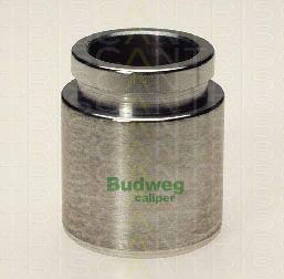 Triscan 8170 233819 - Piston, əyləc kaliperi furqanavto.az