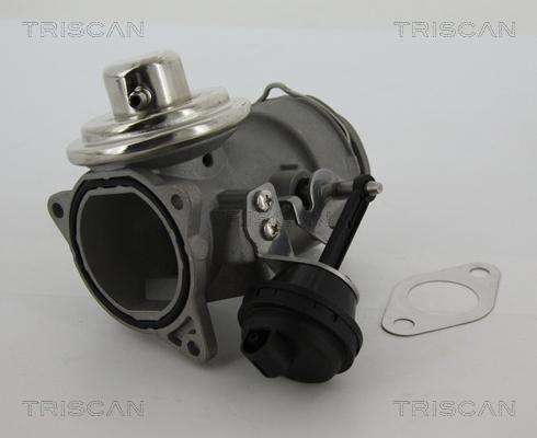 Triscan 8813 29040 - EGR Valf furqanavto.az