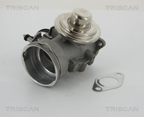 Triscan 8813 29040 - EGR Valf furqanavto.az