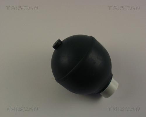 Triscan 8760 38218 - Asma kürəsi, pnevmatik asma furqanavto.az
