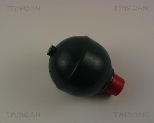Triscan 8760 38220 - Asma kürəsi, pnevmatik asma furqanavto.az