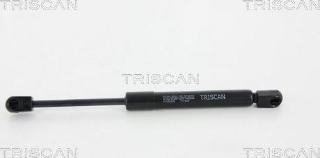 Triscan 8710 50245 - Qazlı bulaq, baqaj, yük yeri furqanavto.az