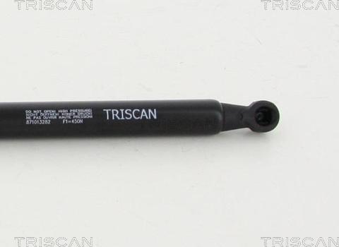 Triscan 8710 13282 - Qazlı bulaq, baqaj, yük yeri furqanavto.az