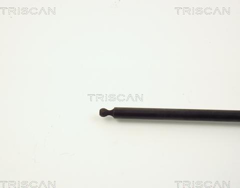 Triscan 8710 3807 - Qazlı bulaq, baqaj, yük yeri furqanavto.az