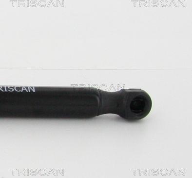 Triscan 8710 24247 - Qazlı bulaq, baqaj, yük yeri furqanavto.az