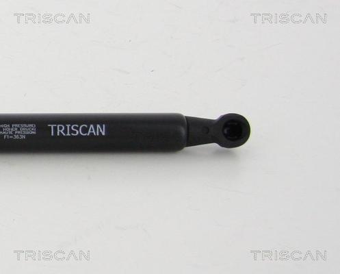 Triscan 8710 24255 - Qazlı bulaq, baqaj, yük yeri furqanavto.az