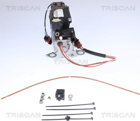 Triscan 8725 29101 - Kompressor, sıxılmış hava sistemi furqanavto.az