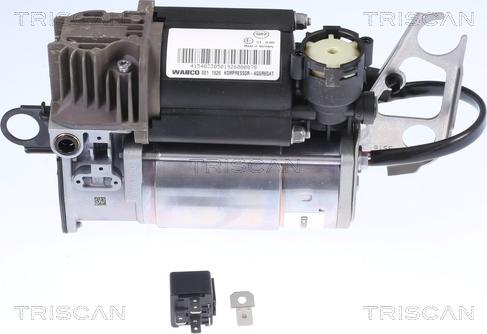 Triscan 8725 29102 - Kompressor, sıxılmış hava sistemi furqanavto.az