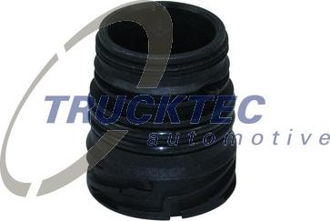 Trucktec Automotive 08.25.059 - Ştepsel yuvası, avtomatik transmissiya idarəetmə bloku furqanavto.az