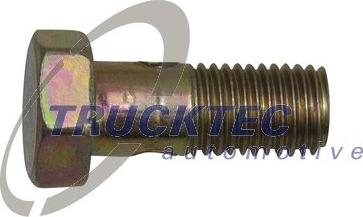 Trucktec Automotive 79.08.001 - İçi boş vint furqanavto.az