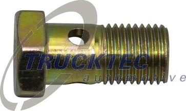 Trucktec Automotive 79.14.001 - İçi boş vint furqanavto.az