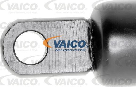 VAICO V95-0200 - Qazlı bulaq, baqaj, yük yeri furqanavto.az