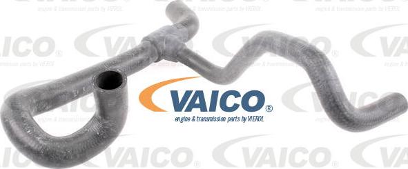 VAICO V46-0906 - Radiator şlanqı furqanavto.az