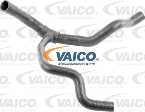 VAICO V46-0902 - Radiator şlanqı furqanavto.az