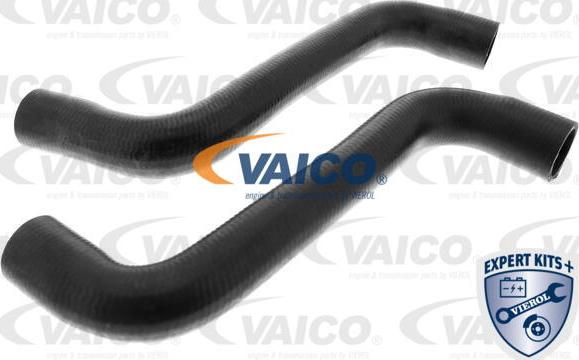 VAICO V46-1726 - Radiator şlanqı furqanavto.az