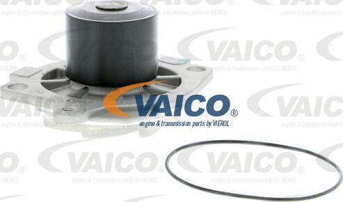 VAICO V40-50044 - Su nasosu furqanavto.az