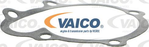 VAICO V40-50040 - Su nasosu furqanavto.az