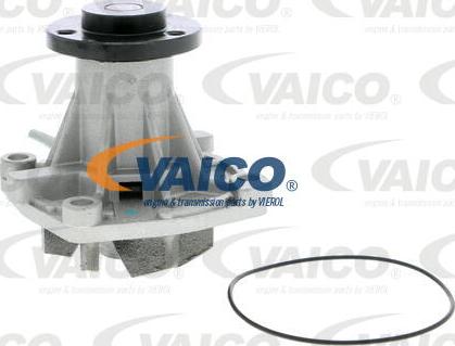 VAICO V40-50054 - Su nasosu furqanavto.az