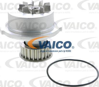 VAICO V40-50008 - Su nasosu furqanavto.az