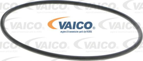 VAICO V40-50017 - Su nasosu furqanavto.az