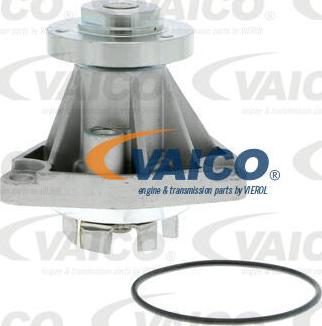 VAICO V40-50036 - Su nasosu furqanavto.az