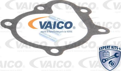 VAICO V40-50033 - Su nasosu furqanavto.az
