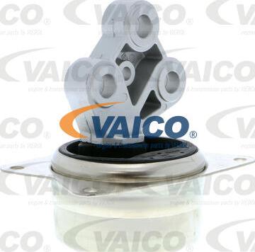 VAICO V40-0066 - Tutacaq, mühərrik montajı furqanavto.az