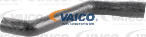 VAICO V40-1162 - Radiator şlanqı furqanavto.az