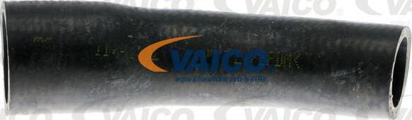 VAICO V40-1173 - Radiator şlanqı furqanavto.az
