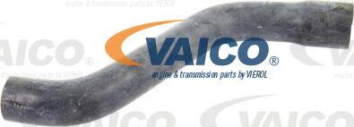 VAICO V40-1338 - Radiator şlanqı furqanavto.az