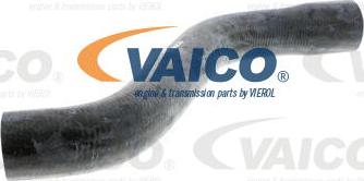 VAICO V40-1337 - Radiator şlanqı furqanavto.az