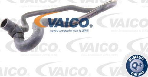 VAICO V40-1768 - Radiator şlanqı furqanavto.az