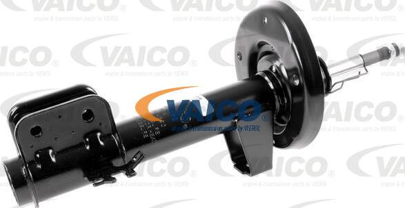 VAICO V40-2062 - Amortizator furqanavto.az